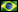 Português do Brasil