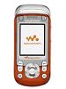 Sony Ericsson W550i Accessories