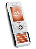 Sony Ericsson W580i Accessories