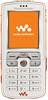 Sony Ericsson W800i Themes